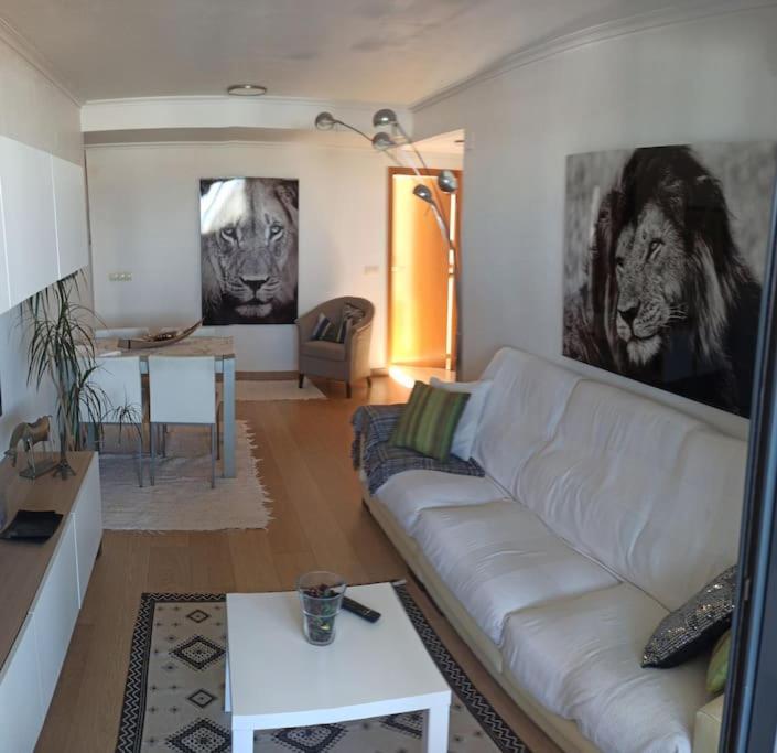 Atico En Paiporta Con 2 Grandes Terrazas Apartment Valencia Exterior foto