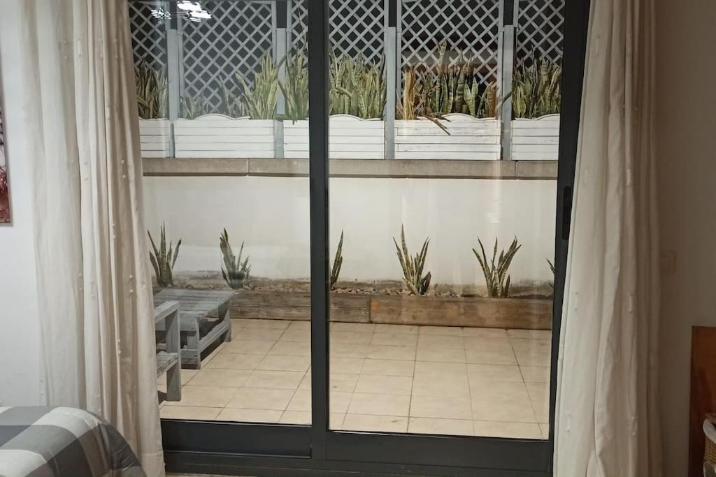 Atico En Paiporta Con 2 Grandes Terrazas Apartment Valencia Exterior foto